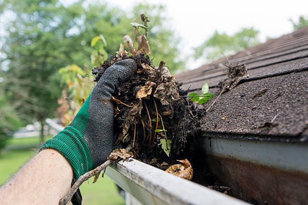 Eavestrough Cleaning